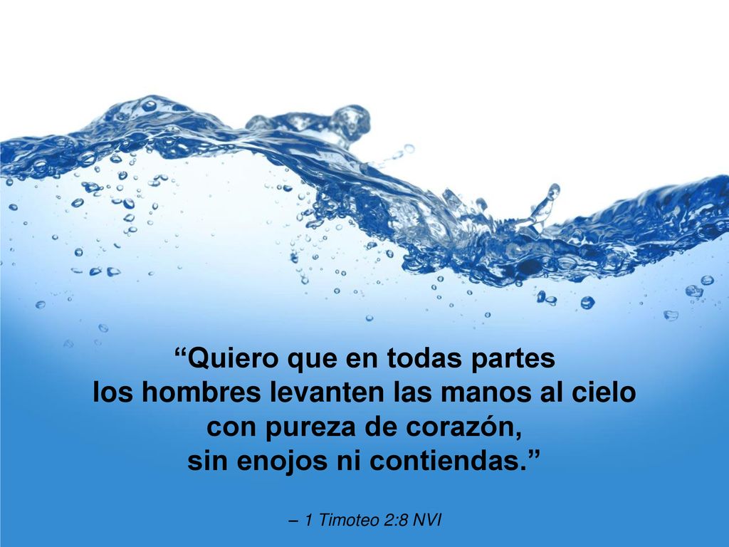 Quiero que en todas partes los hombres levanten las manos al cielo