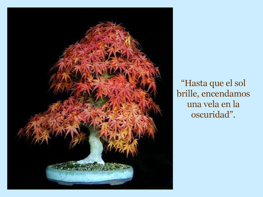 Hasta que el sol brille, encendamos una vela en la oscuridad .