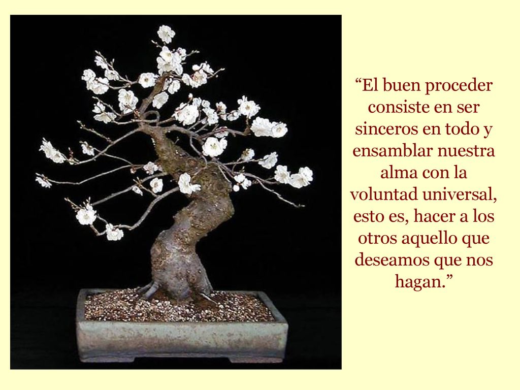 El buen proceder consiste en ser sinceros en todo y ensamblar nuestra alma con la voluntad universal, esto es, hacer a los otros aquello que deseamos que nos hagan.