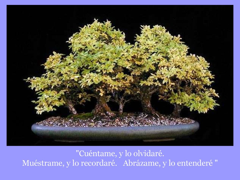 Cuéntame, y lo olvidaré. Muéstrame, y lo recordaré