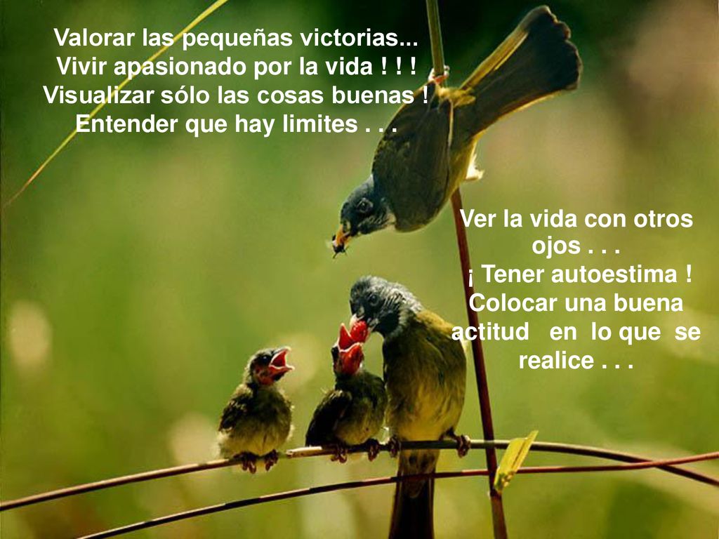 Valorar las pequeñas victorias... Vivir apasionado por la vida ! ! !