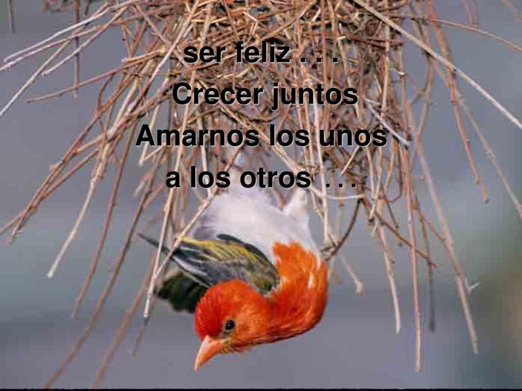 ser feliz Crecer juntos Amarnos los unos a los otros . . .
