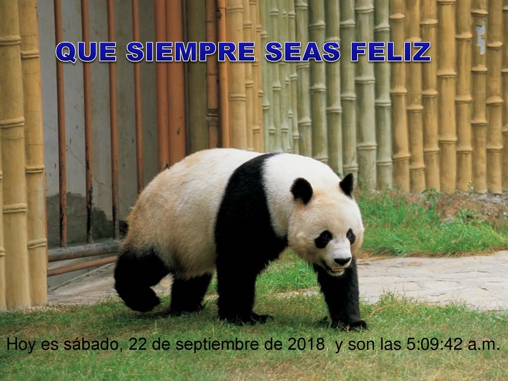 QUE SIEMPRE SEAS FELIZ Hoy es sábado, 22 de septiembre de 2018 y son las 5:09:42 a.m.