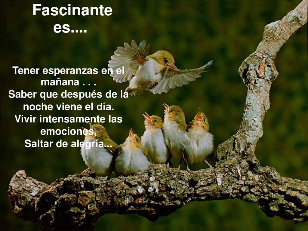 Fascinante es.... Tener esperanzas en el mañana . . .