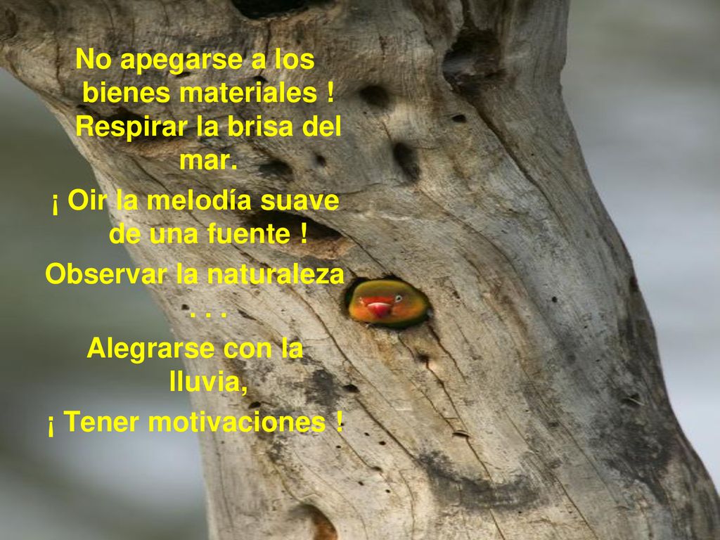 No apegarse a los bienes materiales ! Respirar la brisa del mar.