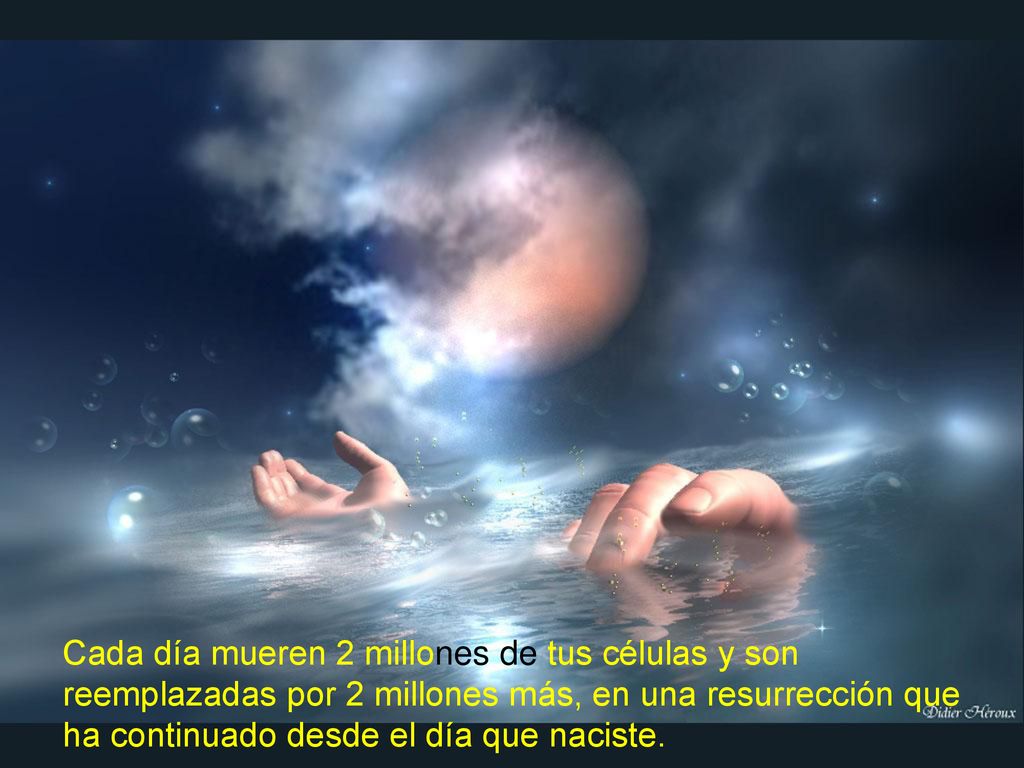 Cada día mueren 2 millones de tus células y son reemplazadas por 2 millones más, en una resurrección que ha continuado desde el día que naciste.