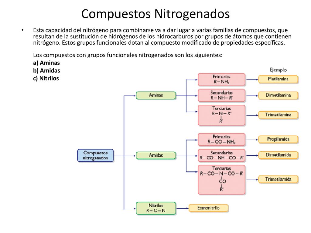 Compuestos Nitrogenados - Lessons - Blendspace
