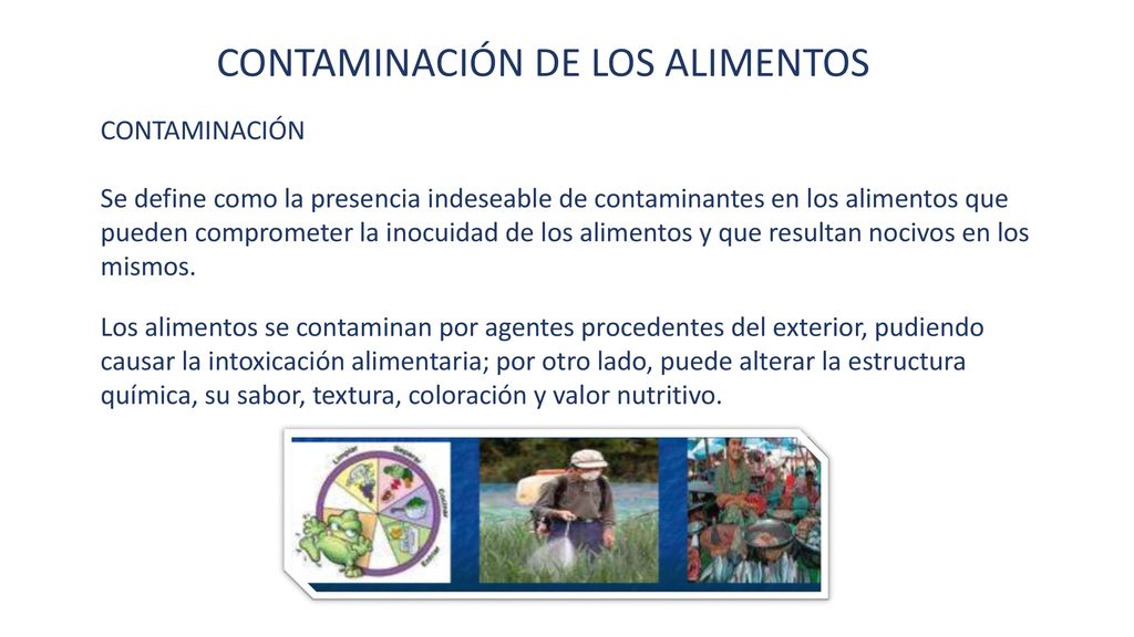 Fuentes de Contaminación y Alteración de los Alimentos - ppt descargar