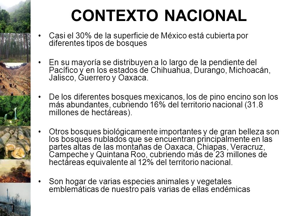 CONTEXTO NACIONAL Casi el 30% de la superficie de México está cubierta por diferentes tipos de bosques.