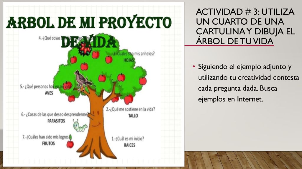 Actividad # 3: Utiliza un cuarto de una cartulina y dibuja el árbol de tu vida