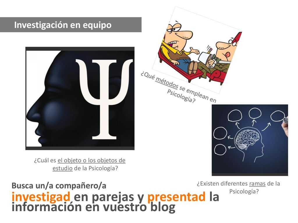 investigad en parejas y presentad la información en vuestro blog