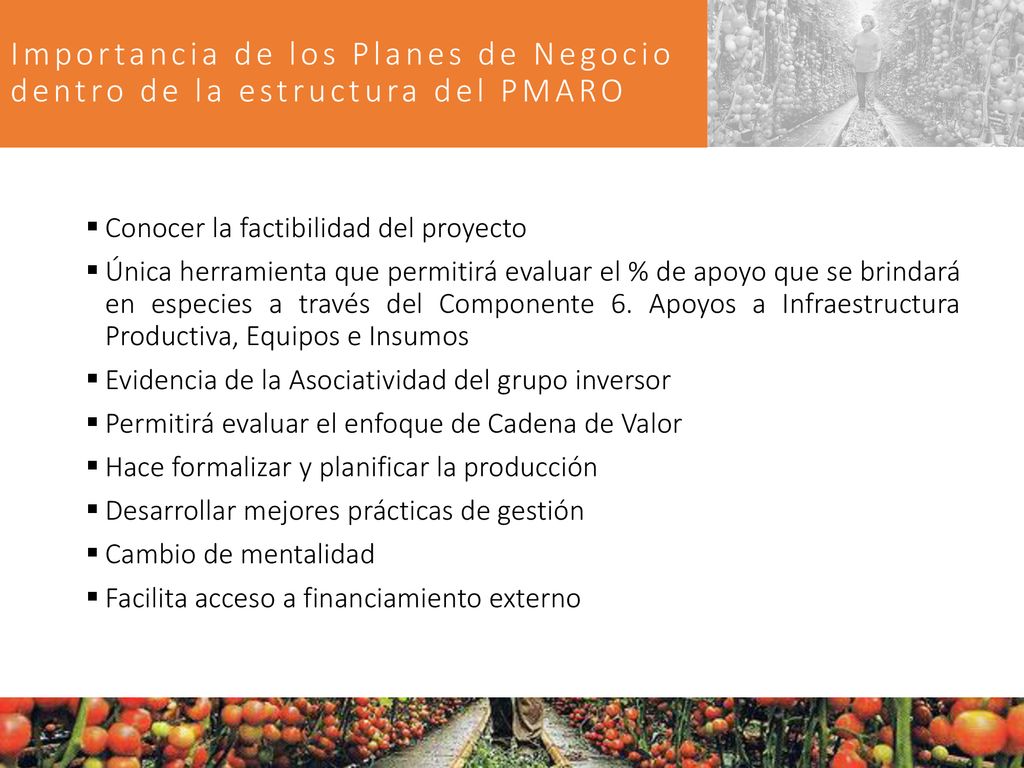 Importancia de los Planes de Negocio dentro de la estructura del PMARO