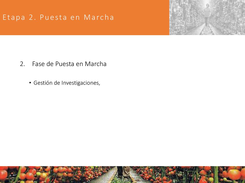 Etapa 2. Puesta en Marcha Fase de Puesta en Marcha