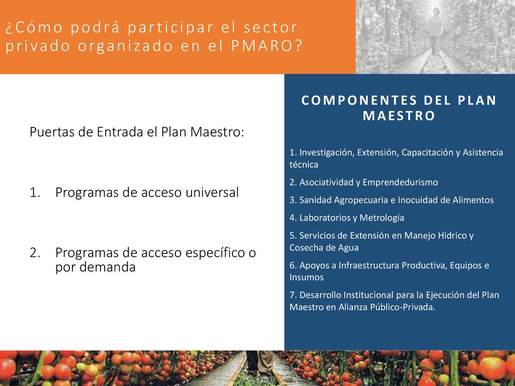 ¿Cómo podrá participar el sector privado organizado en el PMARO