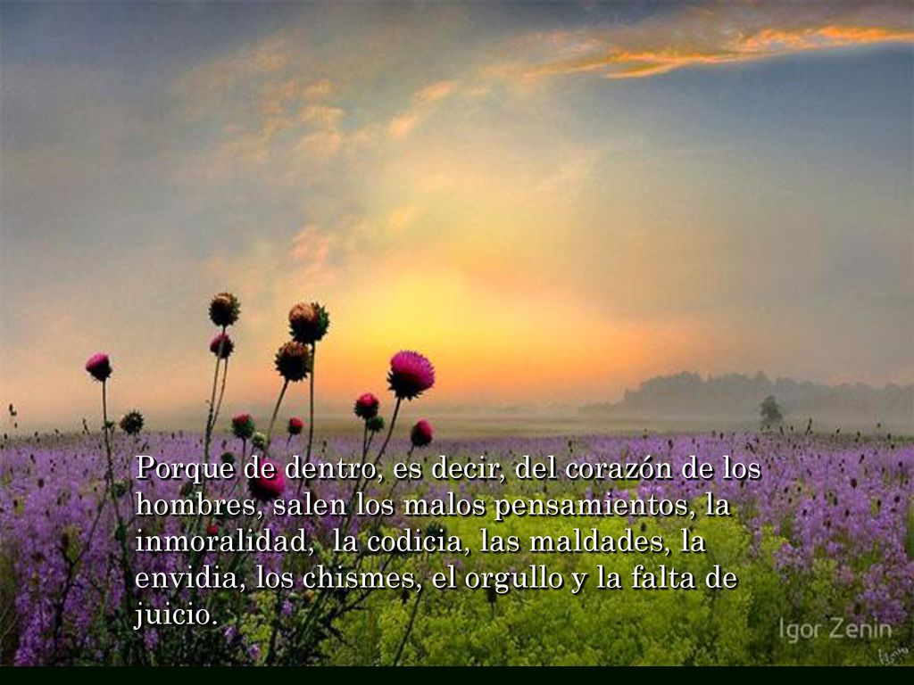Porque de dentro, es decir, del corazón de los hombres, salen los malos pensamientos, la inmoralidad, la codicia, las maldades, la envidia, los chismes, el orgullo y la falta de juicio.