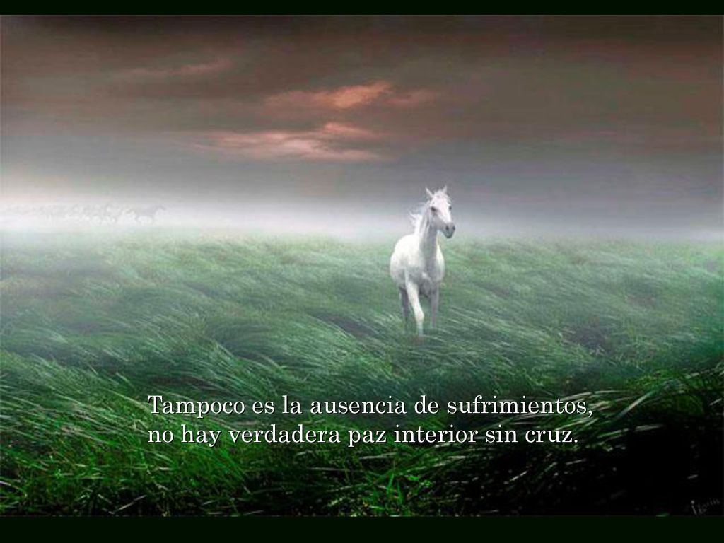 Tampoco es la ausencia de sufrimientos, no hay verdadera paz interior sin cruz.