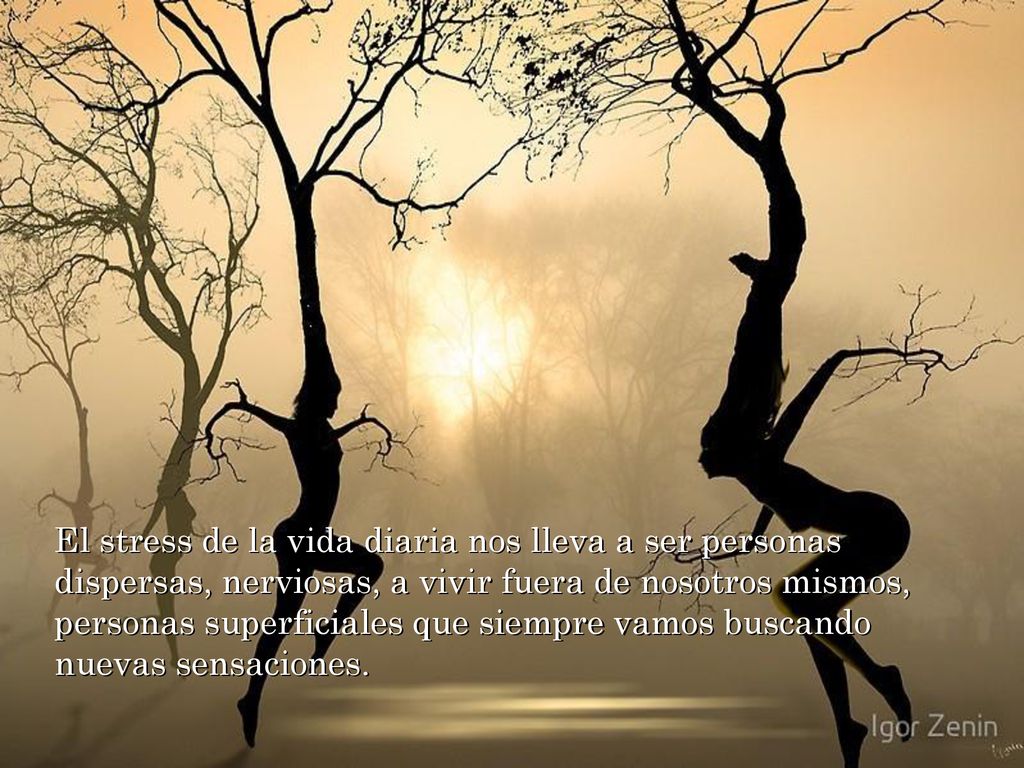 El stress de la vida diaria nos lleva a ser personas dispersas, nerviosas, a vivir fuera de nosotros mismos, personas superficiales que siempre vamos buscando nuevas sensaciones.