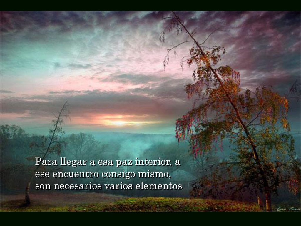 Para llegar a esa paz interior, a ese encuentro consigo mismo, son necesarios varios elementos