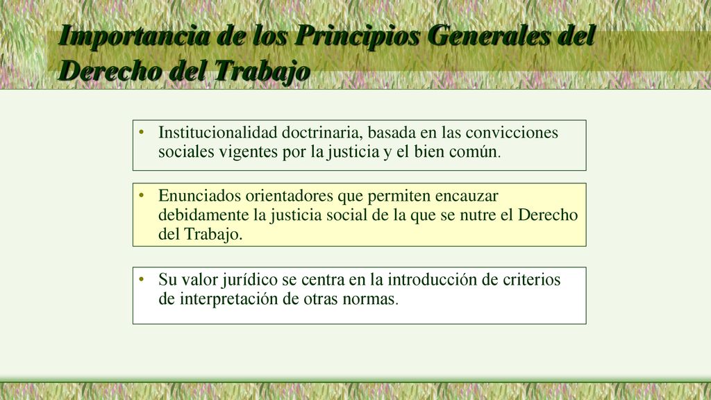Importancia de los Principios Generales del Derecho del Trabajo
