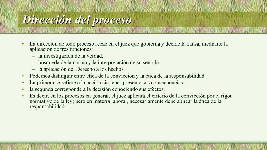 Dirección del proceso La dirección de todo proceso recae en el juez que gobierna y decide la causa, mediante la aplicación de tres funciones: