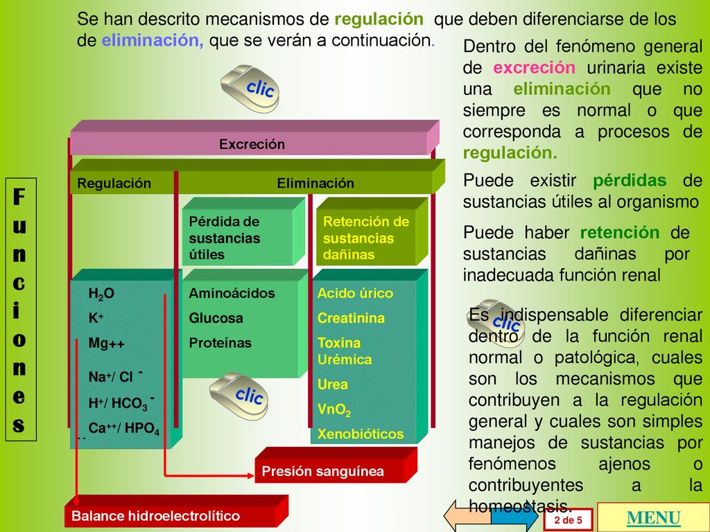 Se han descrito mecanismos de regulación que deben diferenciarse de los de eliminación, que se verán a continuación.