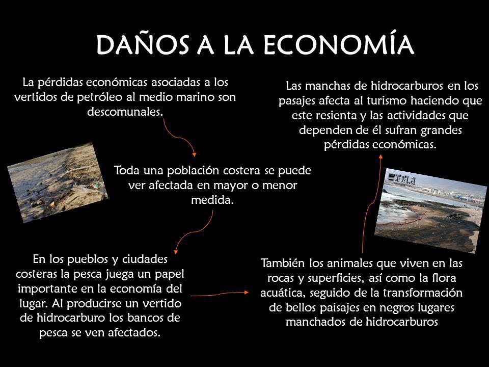 DAÑOS A LA ECONOMÍA La pérdidas económicas asociadas a los vertidos de petróleo al medio marino son descomunales.