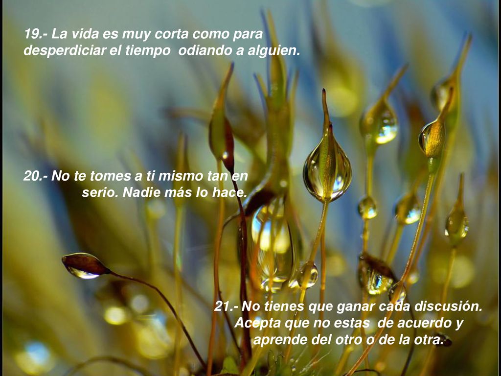 19.- La vida es muy corta como para desperdiciar el tiempo odiando a alguien.