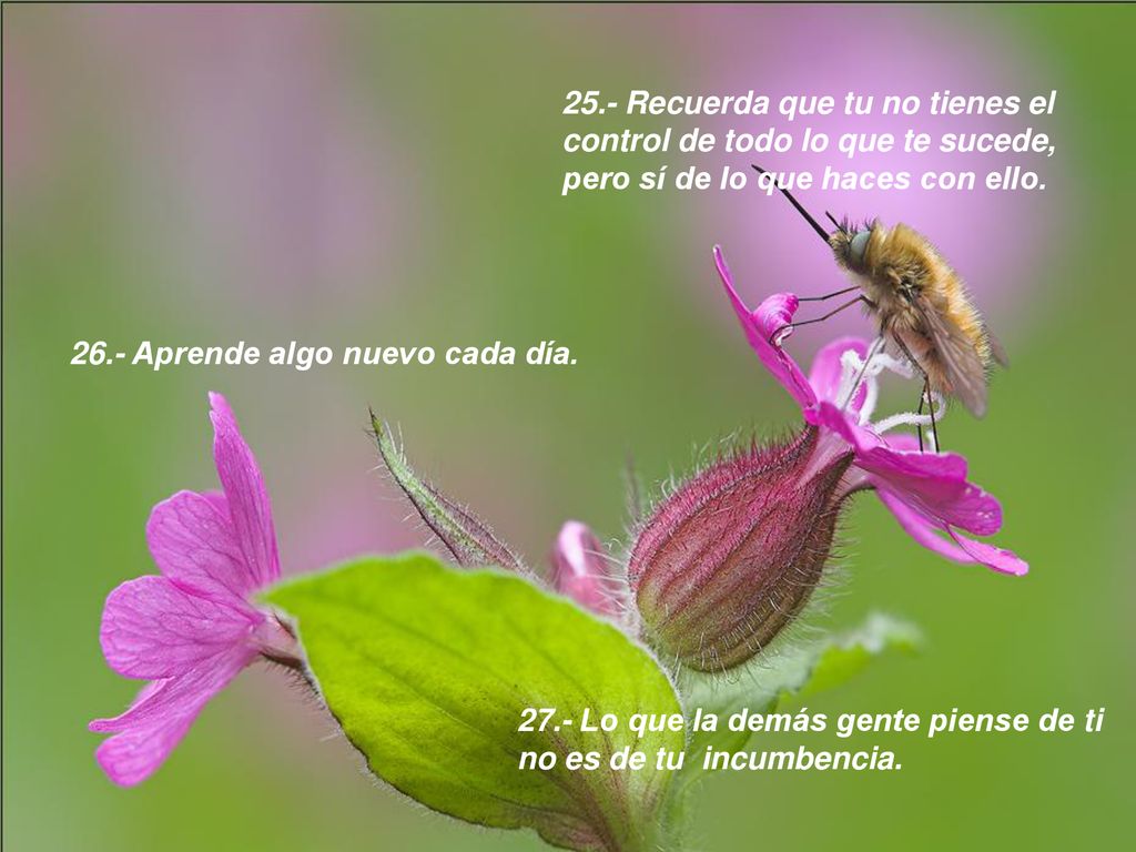 25.- Recuerda que tu no tienes el control de todo lo que te sucede, pero sí de lo que haces con ello.