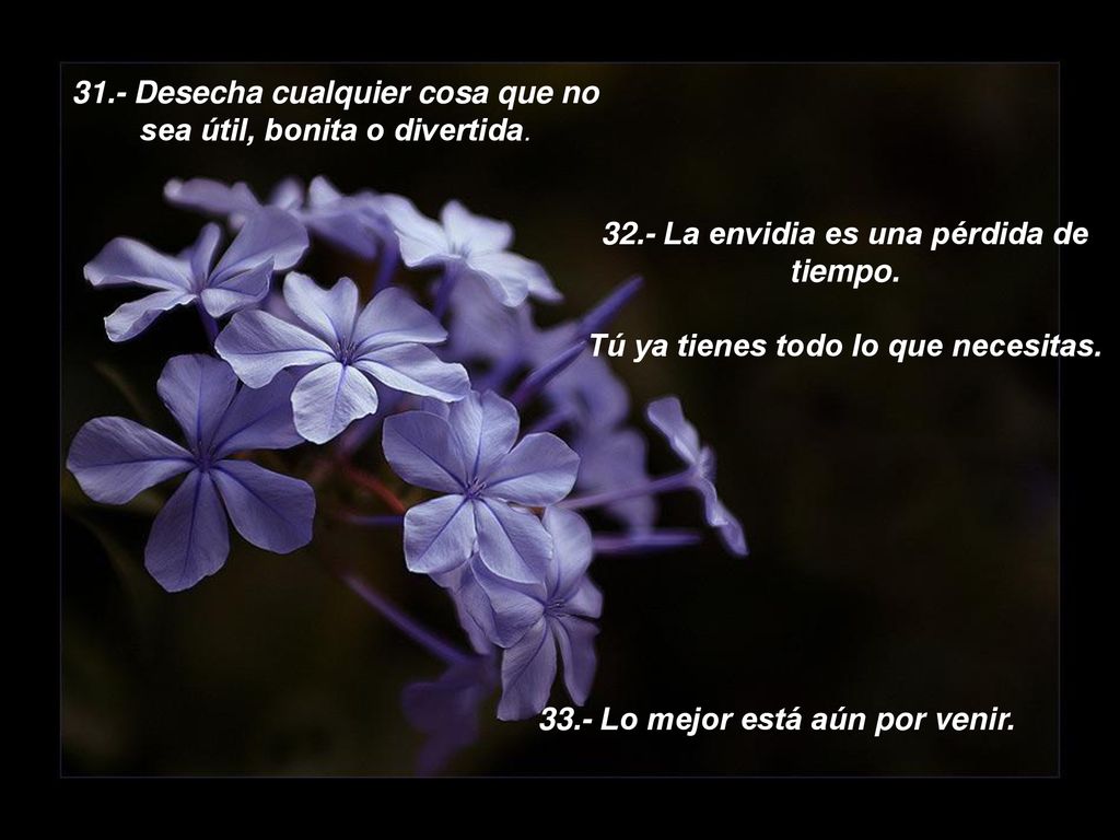 31.- Desecha cualquier cosa que no sea útil, bonita o divertida.