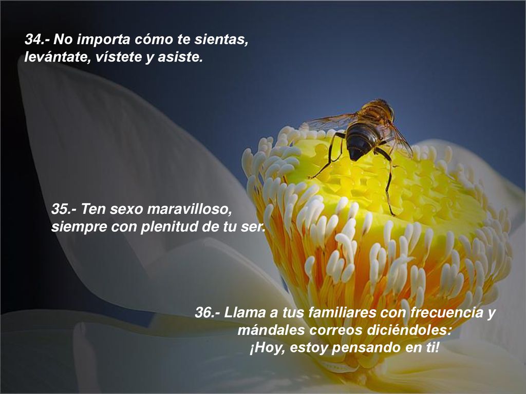 34.- No importa cómo te sientas, levántate, vístete y asiste.