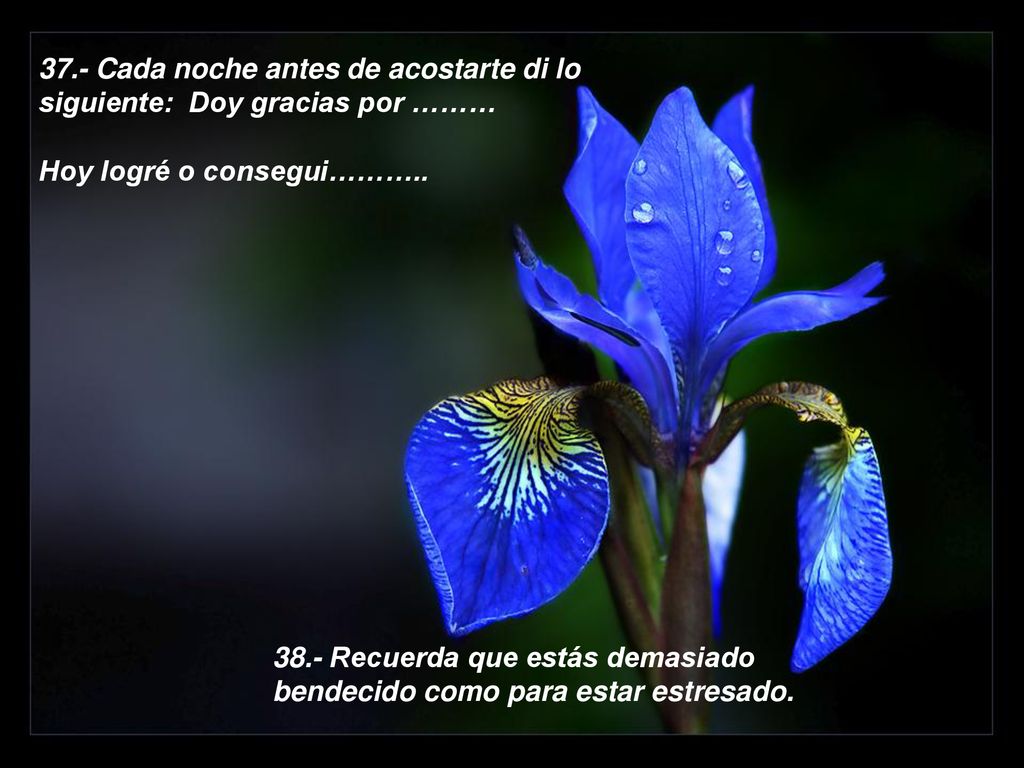 37.- Cada noche antes de acostarte di lo siguiente: Doy gracias por ………