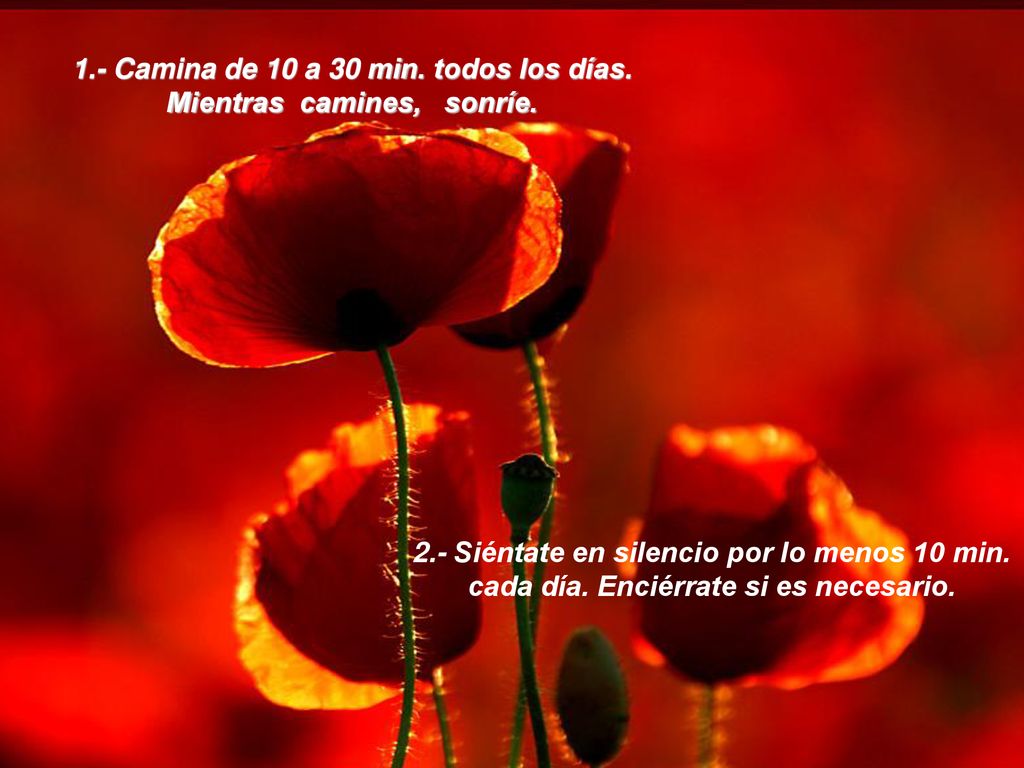 1.- Camina de 10 a 30 min. todos los días. Mientras camines, sonríe.