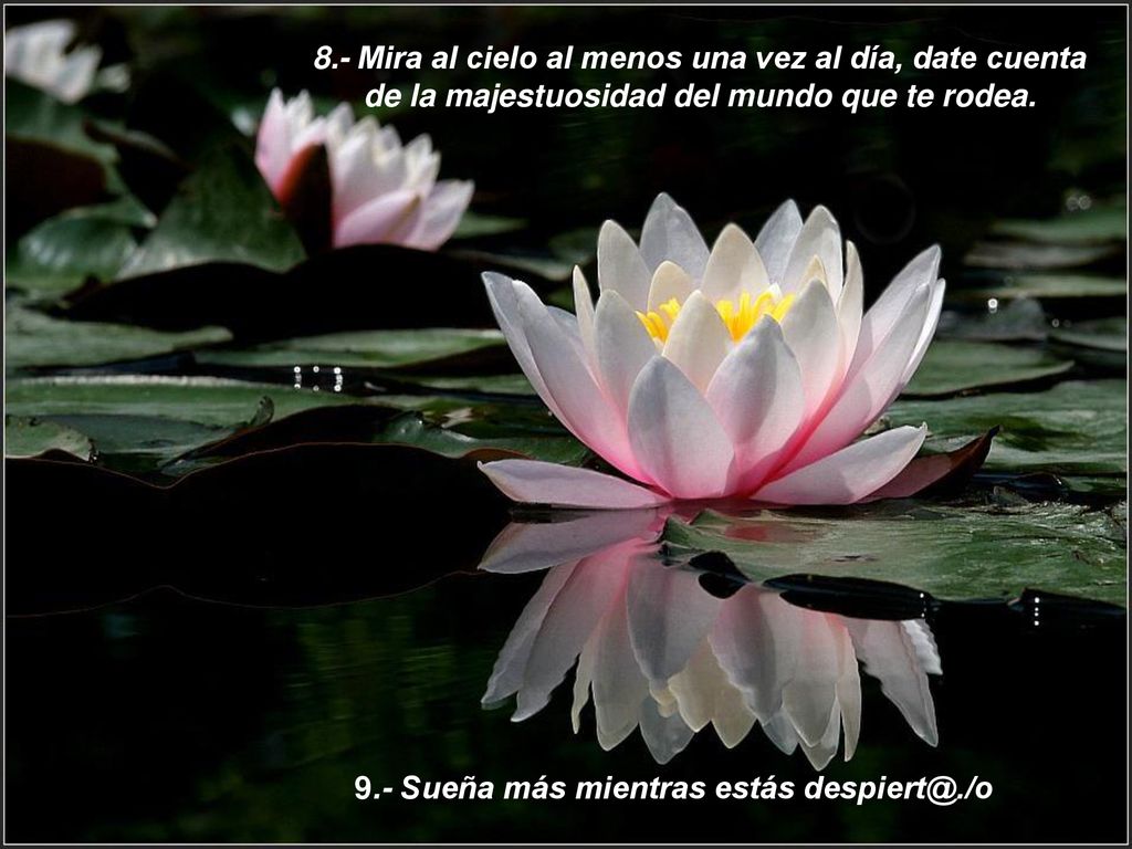8.- Mira al cielo al menos una vez al día, date cuenta de la majestuosidad del mundo que te rodea.