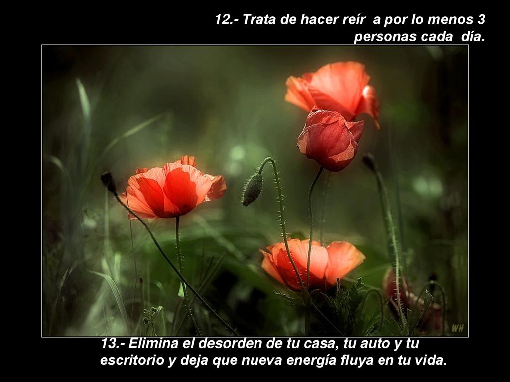 12.- Trata de hacer reír a por lo menos 3 personas cada día.