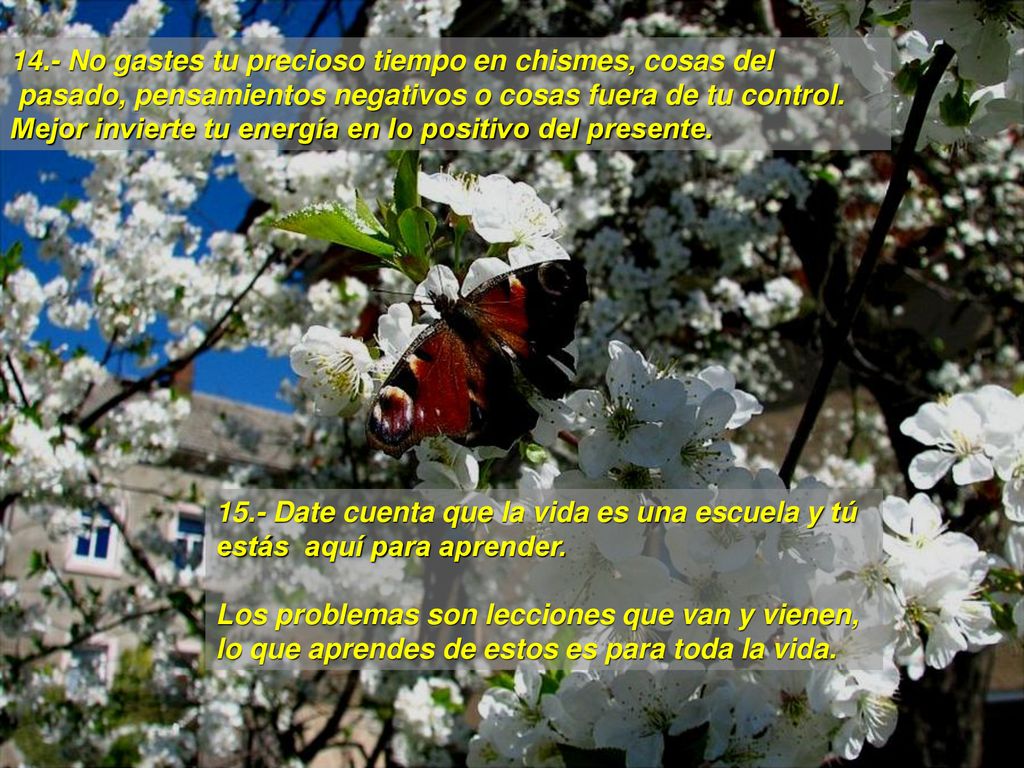 14.- No gastes tu precioso tiempo en chismes, cosas del pasado, pensamientos negativos o cosas fuera de tu control.