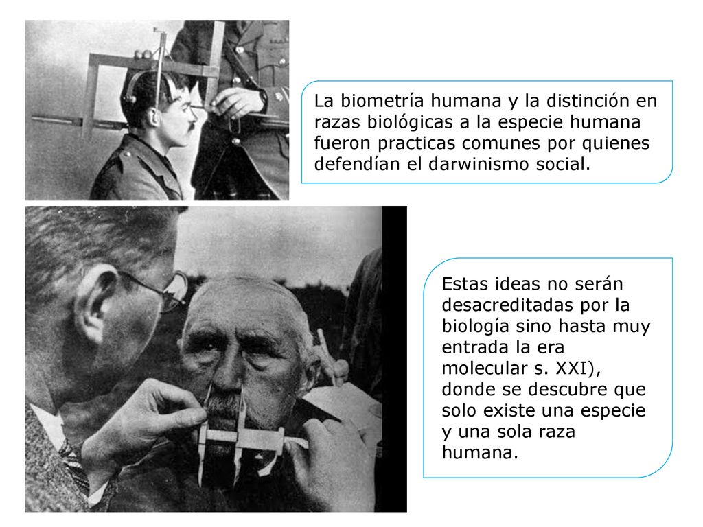 La biometría humana y la distinción en razas biológicas a la especie humana fueron practicas comunes por quienes defendían el darwinismo social.