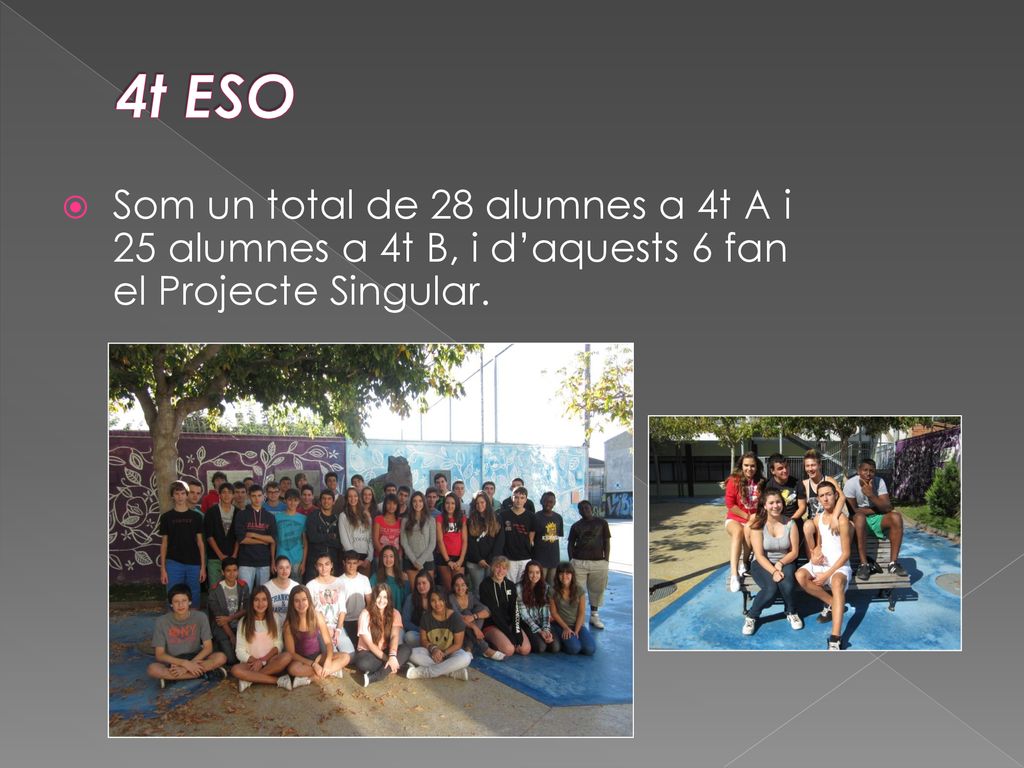 4t ESO Som un total de 28 alumnes a 4t A i 25 alumnes a 4t B, i d’aquests 6 fan el Projecte Singular.