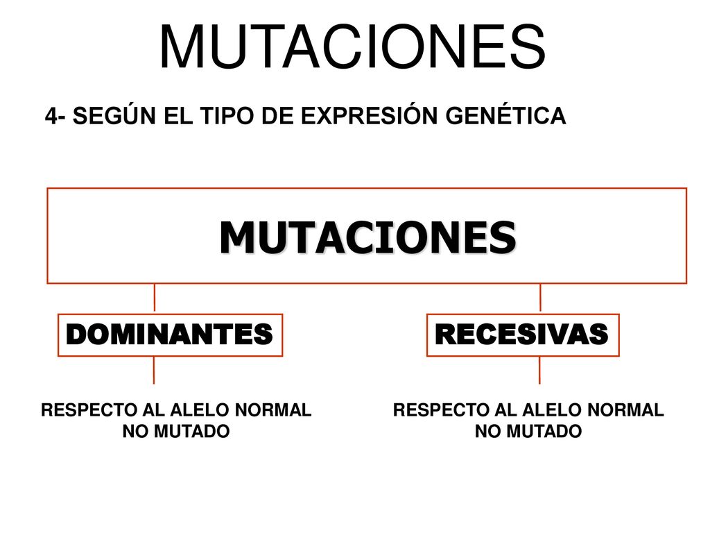 RESPECTO AL ALELO NORMAL NO MUTADO RESPECTO AL ALELO NORMAL NO MUTADO