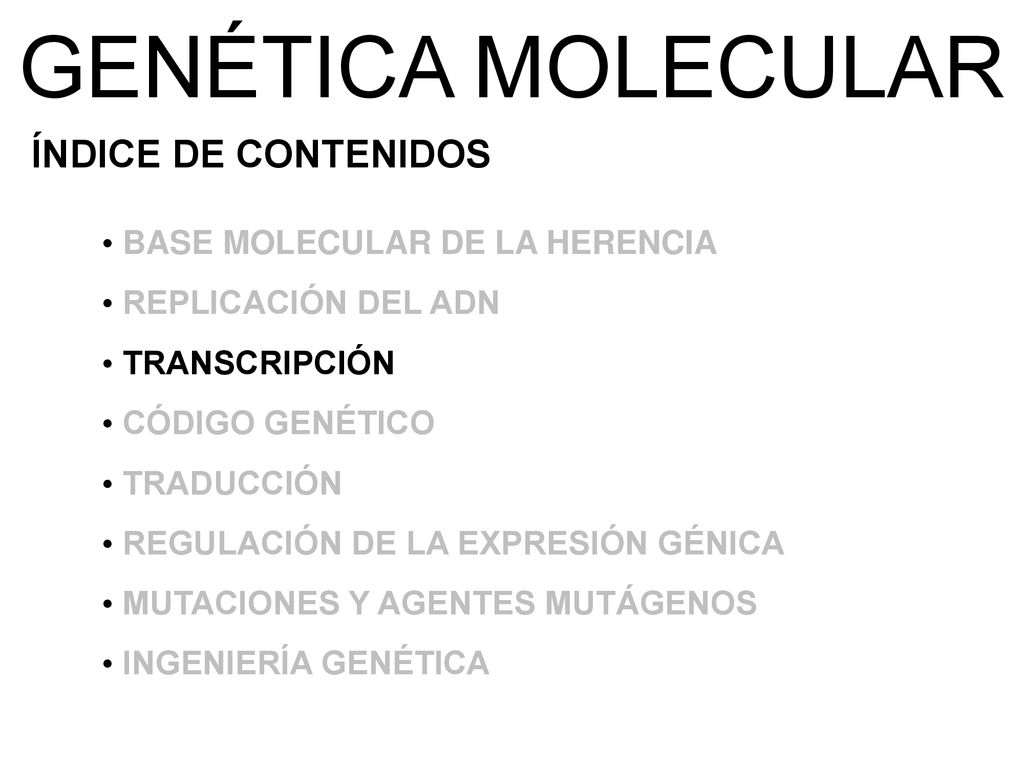 GENÉTICA MOLECULAR ÍNDICE DE CONTENIDOS BASE MOLECULAR DE LA HERENCIA