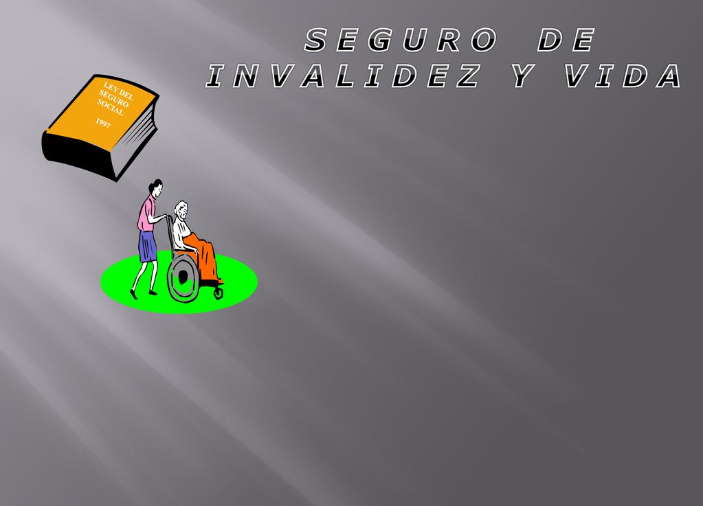 S E G U R O D E I N V A L I D E Z Y V I D A