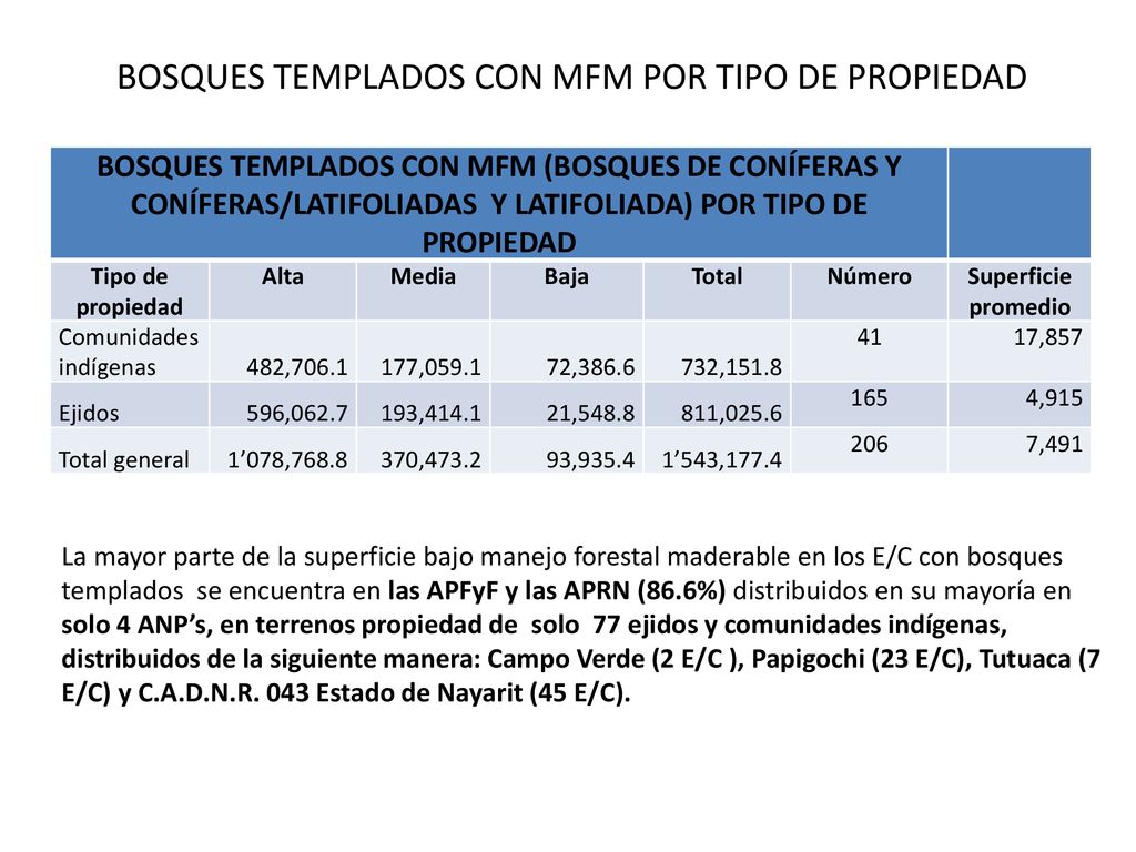 BOSQUES TEMPLADOS CON MFM POR TIPO DE PROPIEDAD