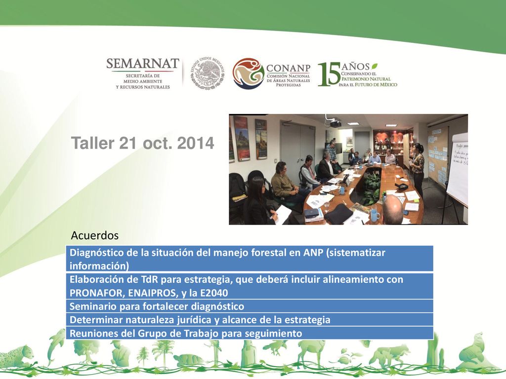 Taller 21 oct Acuerdos. Diagnóstico de la situación del manejo forestal en ANP (sistematizar información)