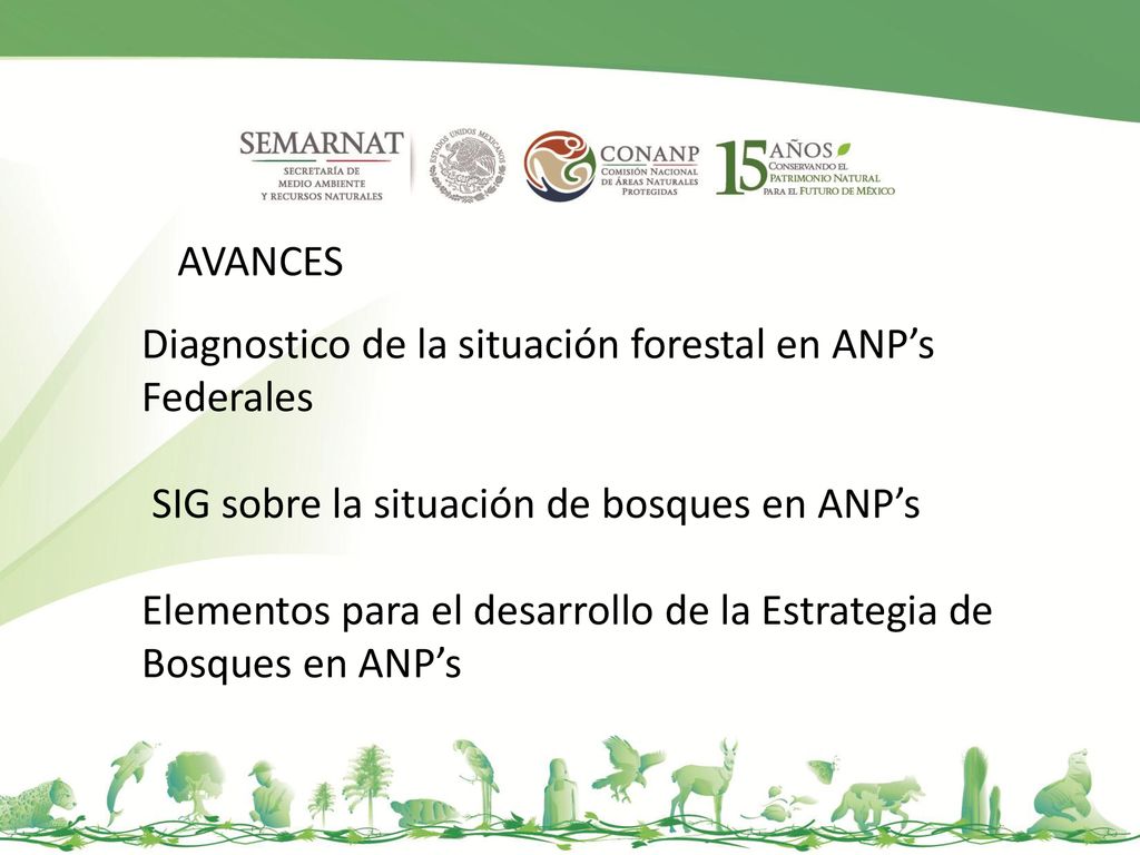 AVANCES Diagnostico de la situación forestal en ANP’s Federales. SIG sobre la situación de bosques en ANP’s.