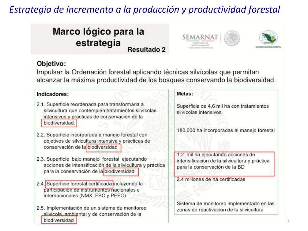 Estrategia de incremento a la producción y productividad forestal