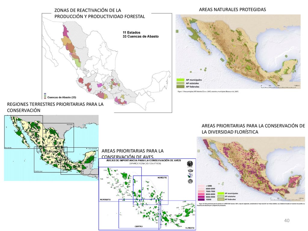 ZONAS DE REACTIVACIÓN DE LA PRODUCCIÓN Y PRODUCTIVIDAD FORESTAL
