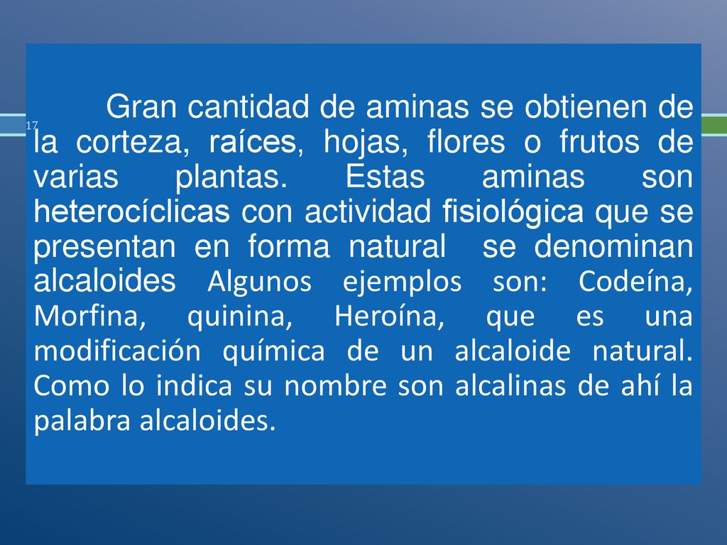 Gran cantidad de aminas se obtienen de la corteza, raíces, hojas, flores o frutos de varias plantas.