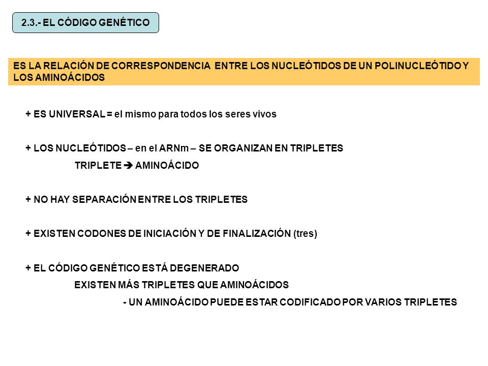 2.3.- EL CÓDIGO GENÉTICO ES LA RELACIÓN DE CORRESPONDENCIA ENTRE LOS NUCLEÓTIDOS DE UN POLINUCLEÓTIDO Y LOS AMINOÁCIDOS.