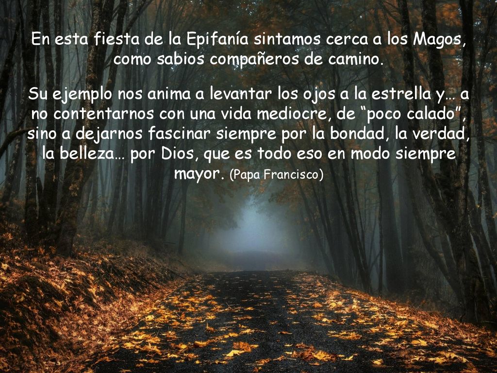 En esta fiesta de la Epifanía sintamos cerca a los Magos, como sabios compañeros de camino.