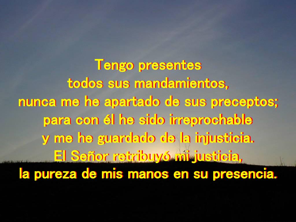 todos sus mandamientos, nunca me he apartado de sus preceptos;