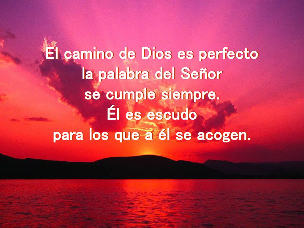 El camino de Dios es perfecto para los que a él se acogen.